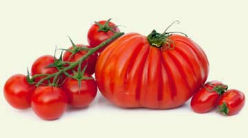 Home-tomatoes-img