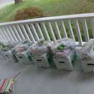More CSA Boxes