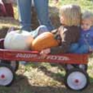 Wagon at Pin Oak