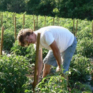 Farming